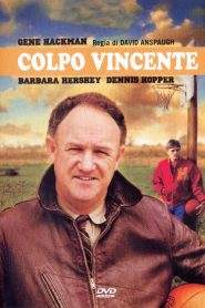 Colpo vincente (1986)