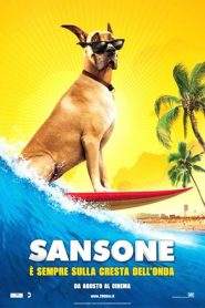 Sansone (2010)