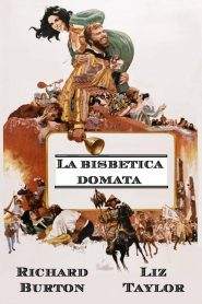 La bisbetica domata (1967)