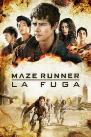 Maze Runner – La fuga (2015)