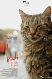 Kedi – La città dei gatti (2017)