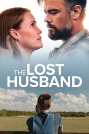 La vita all’improvviso – The Lost Husband (2020)