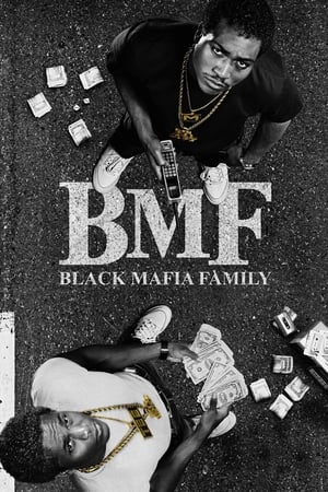 BMF – Black Mafia Family