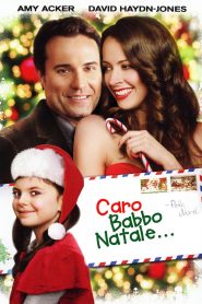 Caro Babbo Natale… (2011)